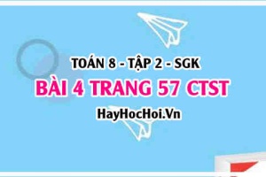 Bài 4 trang 57 Toán 8 Tập 2 Chân trời sáng tạo